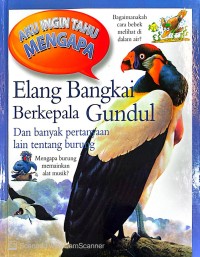 Image of Elang bangkai berkepala gundul: dan banyak pertanyaan lain tentang burung