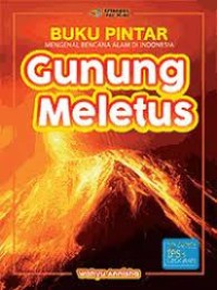 Image of Buku pintar mengenal bencana alam di Indonesia : gunung meletus