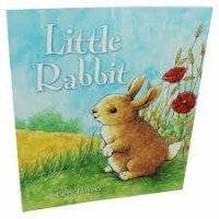 Image of Little rabbit