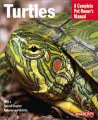 Image of Turtles