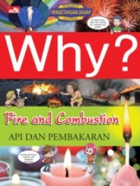 Image of Why? fire and combustion - api dan pembakaran